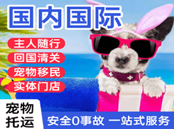 乌海机场物流国际宠物托运 【国